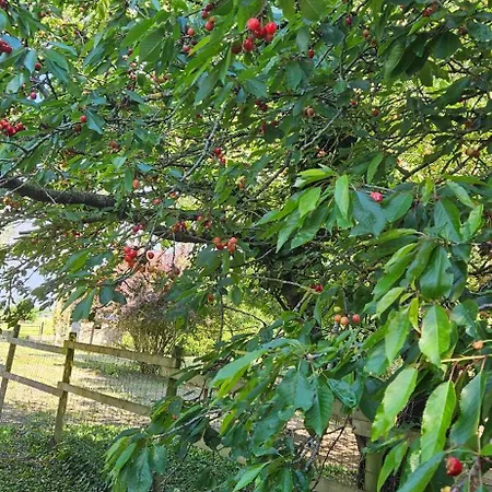 La Grange Du Clairay, Bord De Loire *